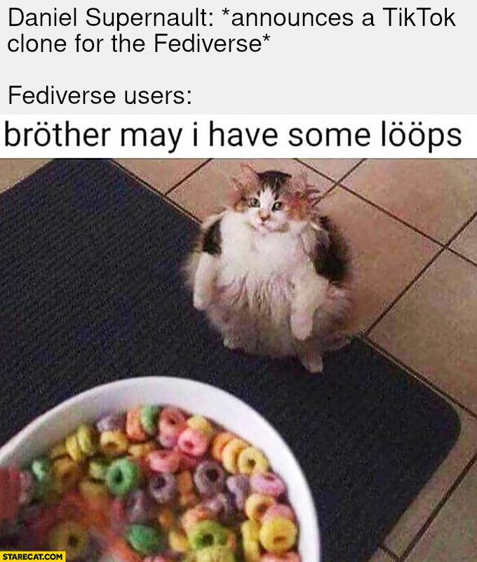 Image macro, based on a digital photograph of a fluffy and very chubby calico cat sitting on the floor on its hindquarters and looking upward at the bowl of Fruit Loops in the bottom left corner of the image. At the top of the image, there is a very light grey space with a two-part caption. It starts with: “Daniel Supernault:<em> announces a TikTok clone for the Fediverse.” This is followed by a blank line and, “Fediverse users:”. Between the grey space and the image, there is a narrower white space with another caption that has been part of the image for longer than the grey space. The caption speaks for the cat, “bröther may i have some lööps”, with the “o”s being umlauts.